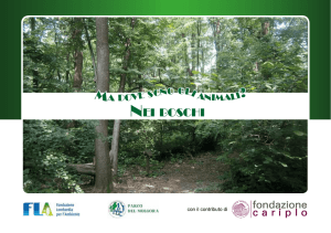 nei boschi - Fondazione Lombardia per l`Ambiente