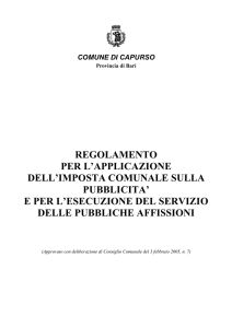 3)Del. CC n.7 del 3.2.05 Approv.regolam.pubbl