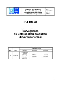 PA.DS.28 batteri produttori di Carbapenemasi