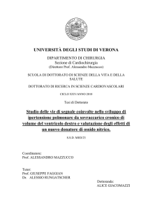 Studio delle vie di segnale coinvolte nello sviluppo di ipertensione