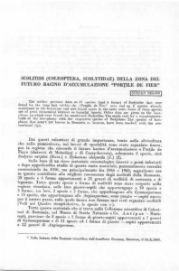 e dopo.approfonfito studio di queeto vasto matJri.r", p"