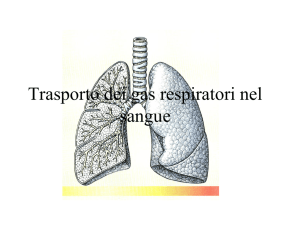 Trasporto dei gas respiratori nel sangue
