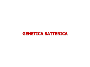 genetica batterica 19 3 2014 File - e