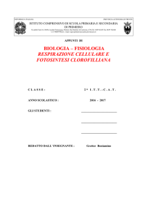 PDF ICONE-FISIOLOGIA-FOTOS-RESP-IN-BREVE-05-04