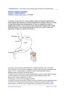 Stomaco: anatomia e fisiologia