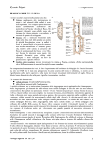 Riccardo-FisiologiaVegetale08