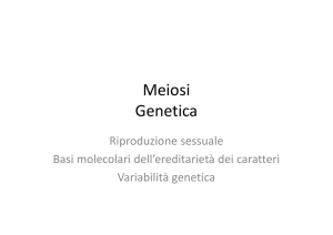 Meiosi Genetica - I blog di Unica