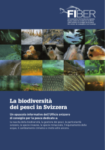 La biodiversità dei pesci in Svizzera