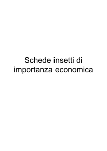 Schede insetti di importanza economica