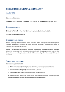 Programma ed informazioni - Ambulatorio Veterinario Associato