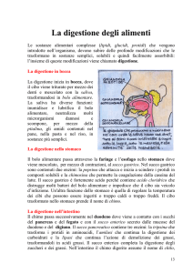 La digestione degli alimenti - IC2 Castaldo