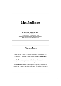 Metabolismo - Nutrizione
