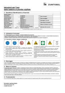 Istruzioni per l`uso delle batterie al piombo sigillate