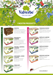 Catalogo 2016 Valverbe