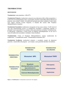 Trombocitosi Ereditaria