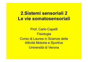 2.Sistemi sensoriali 2 Le vie somatosensoriali