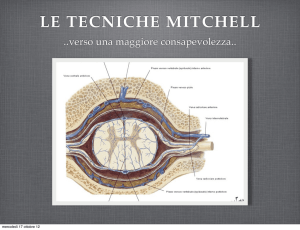 LE TECNICHE MITCHELL