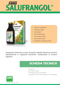 SCHEDA TECNICA