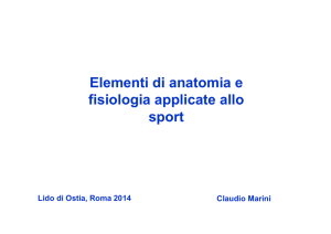 Elementi di anatomia e fisiologia applicate allo sport