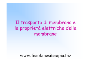 Il trasporto di membrana e le proprietà elettriche delle membrane