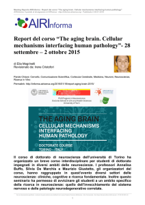Report del corso “The aging brain. Cellular - AIRInforma
