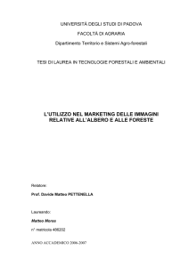 Documento PDF - Università di Padova