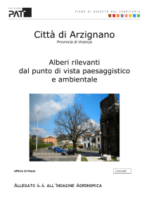 - Comune di Arzignano - Servizi on-line