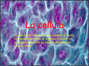 La cellula