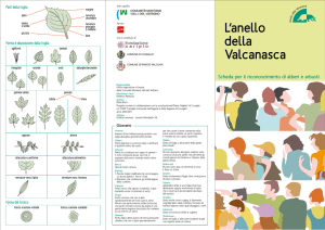 questa guida sul riconoscimento degli alberi e arbusti autoctoni