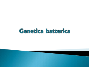 8-CLID-Genetica batterica