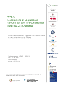 WP6.5 Elaborazione di un database comune dei dati infortunistici