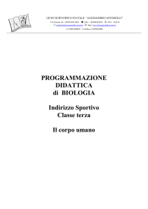 Il sistema nervoso - Liceo scientifico Antonelli