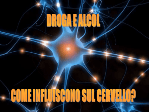 il cervello - Istituto Giovanni XXIII