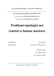 Problemi topologici nei reattori a fusione nucleare