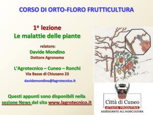 Diapositiva 1 - L`Agrotecnico