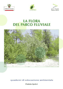 La flora del parco fluviale - Parco fluviale Gesso e Stura