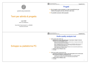 Temi per attività di progetto Sviluppo su piattaforma PC