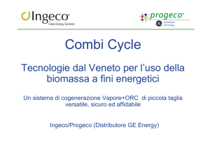 Tecnologie dal Veneto per l`uso della biomassa a fini energetici