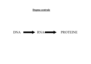 Acidi Nucleici