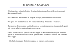 il modello di mendel