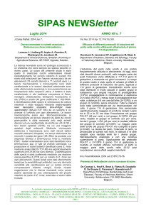 Newsletter_07_2014 Luglio