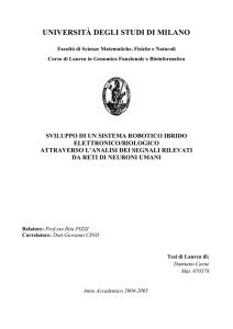 CAPITOLO 5 Analisi dei segnali rilevati