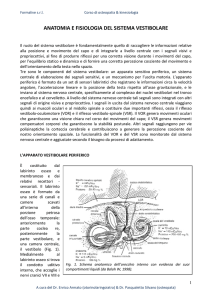 anatomia e fisiologia del sistema vestibolare