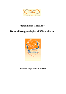 Da un albero genealogico al DNA e ritorno