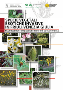 SPECIE VEGETALI ESOTICHE INVASIVE IN FRIuLI