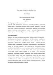 ANATOMIA I - Canali B e C - Prof. S. Giunta