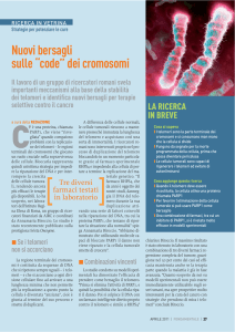 Nuovi bersagli sulle “code” dei cromosomi