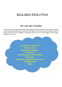 Teorie Evolutive