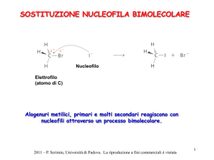 Presentazione di PowerPoint