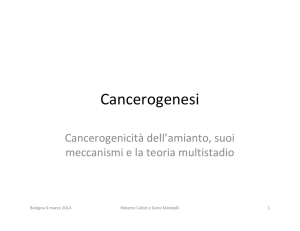 Cancerogenesi